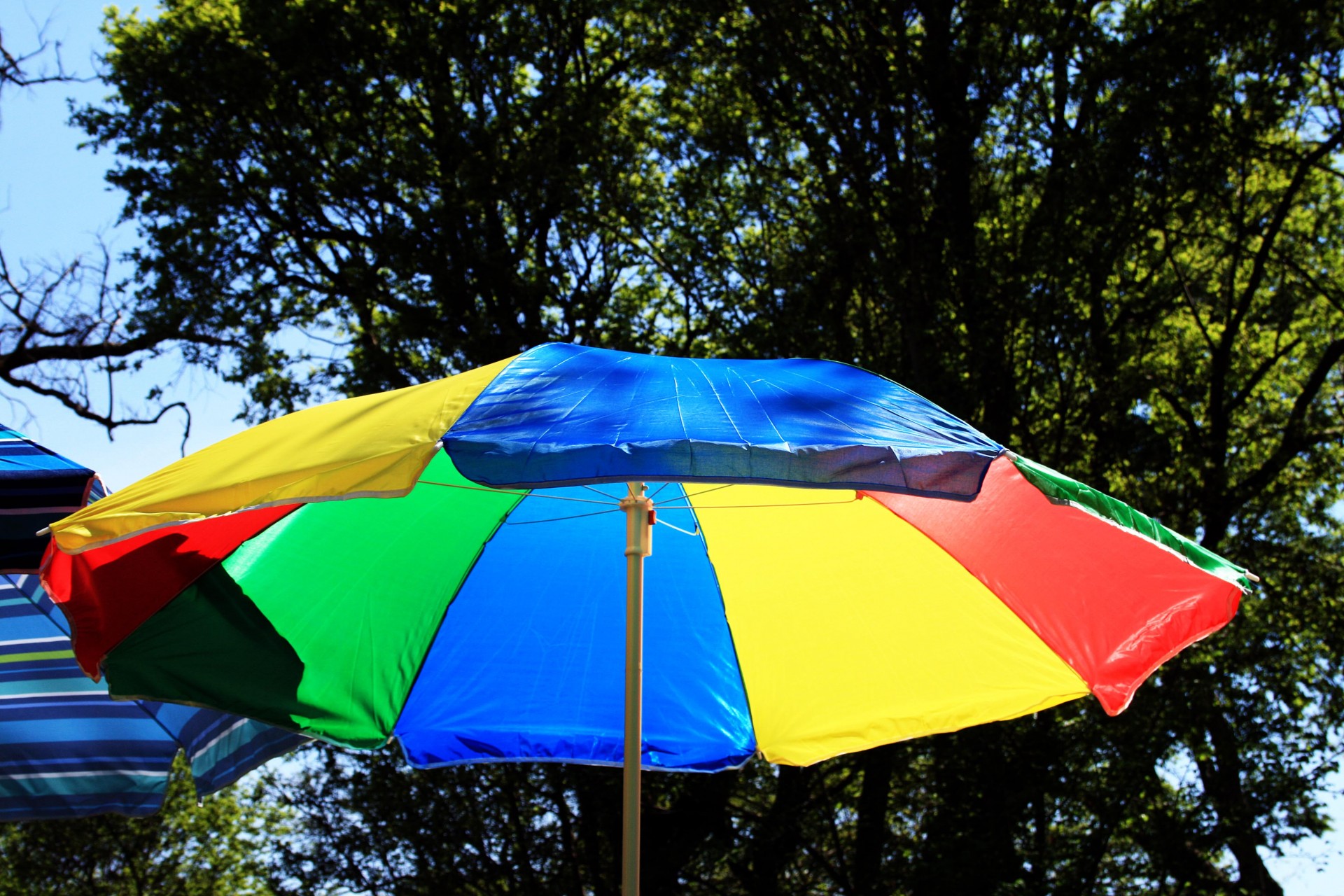 brolly parasol canopy free photo