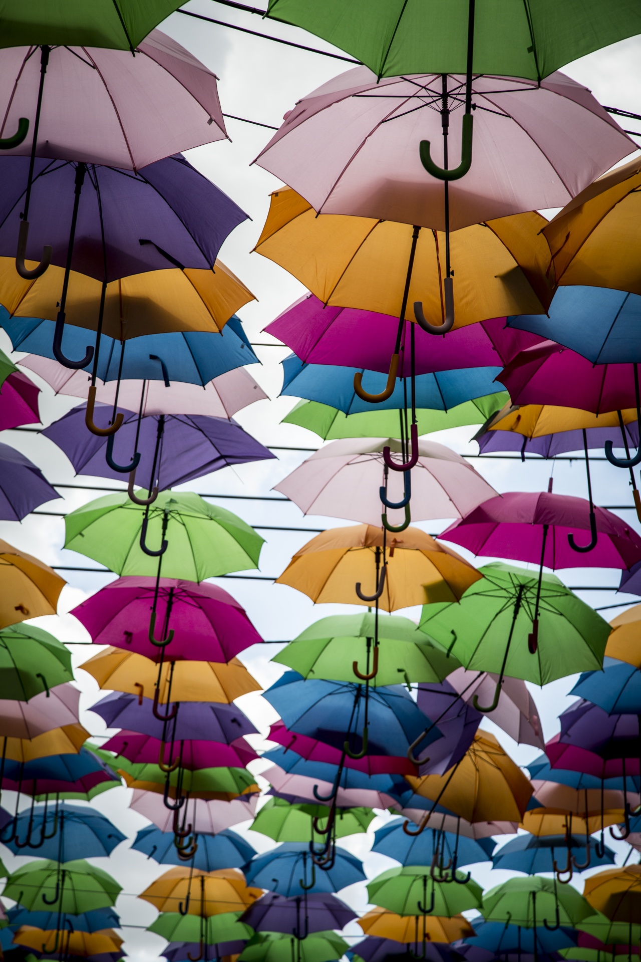 umbrellas leisure color free photo
