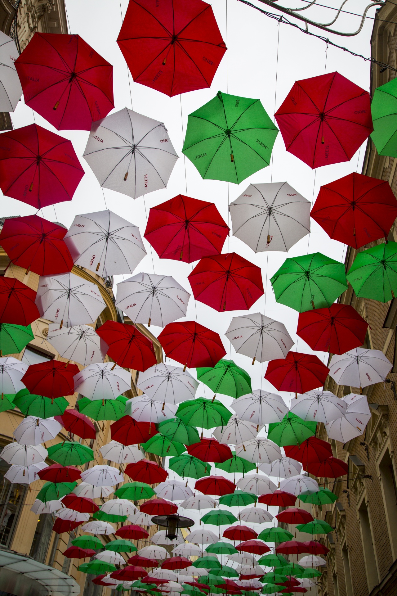 umbrellas leisure color free photo