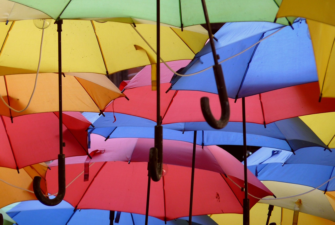 umbrellas colorful rain free photo