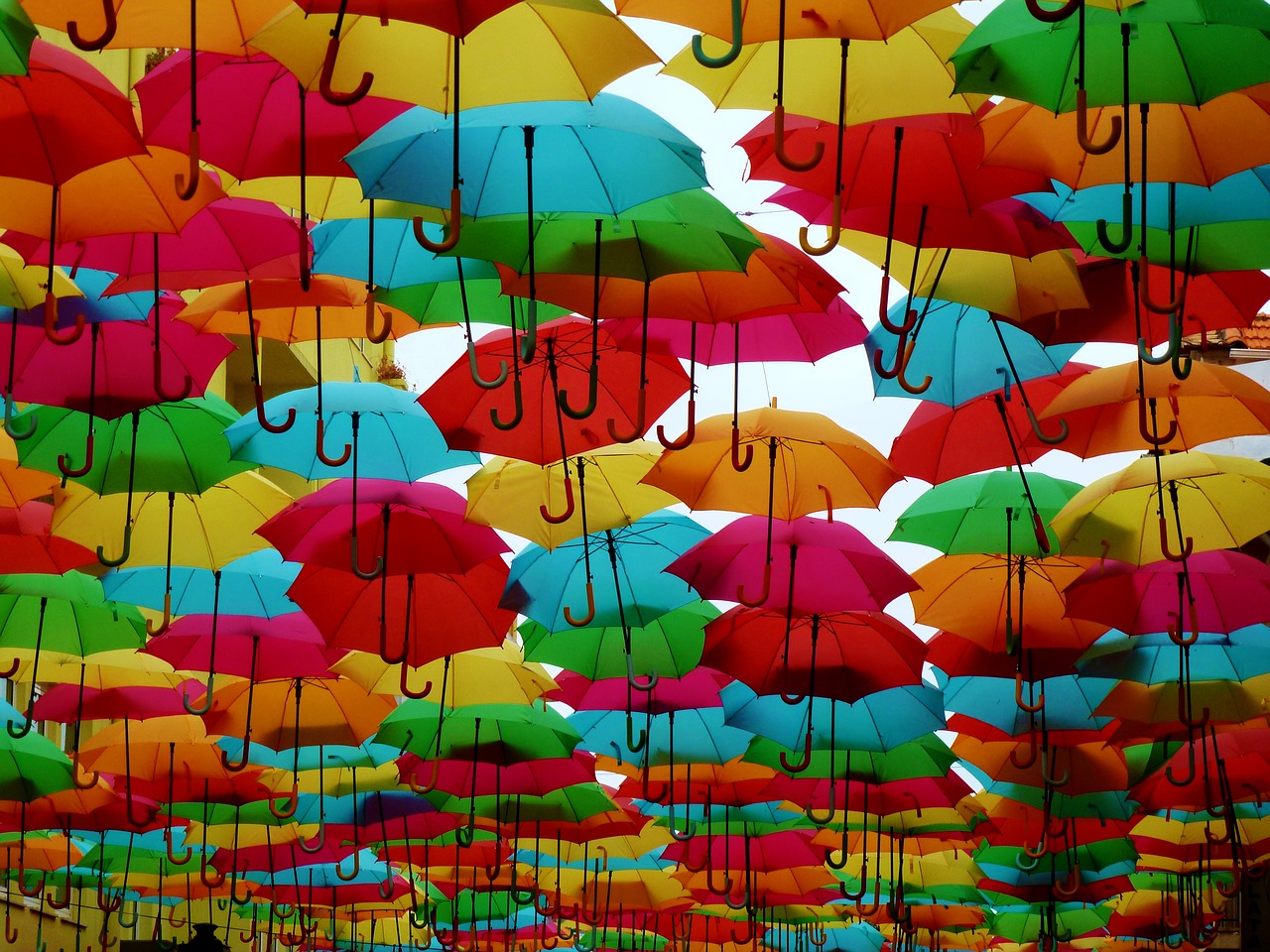 umbrellas colorful shade tree free photo