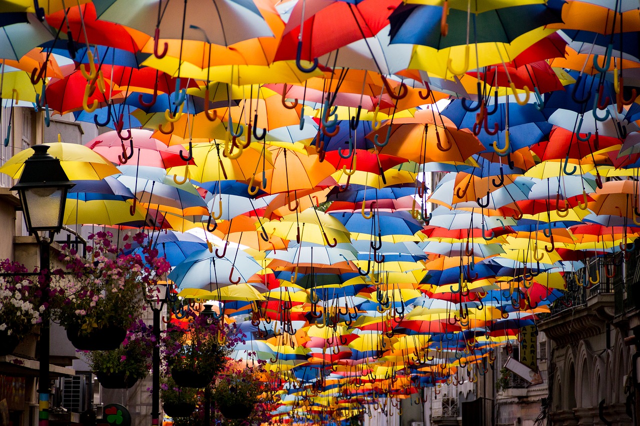 umbrellas colors street free photo