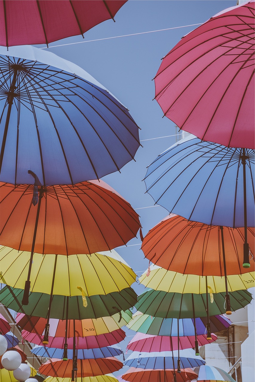 umbrellas colors colours free photo