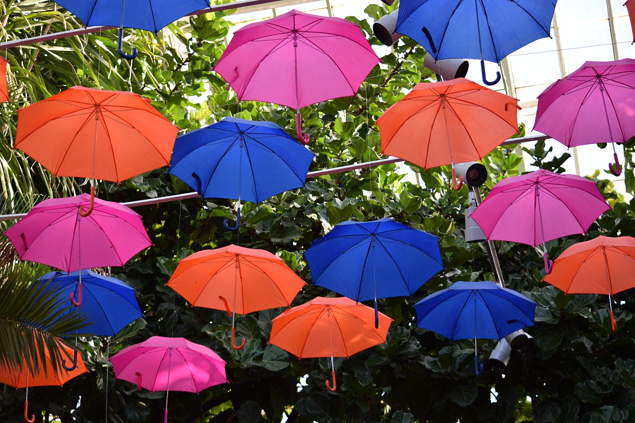 umbrellas colorful weather free photo