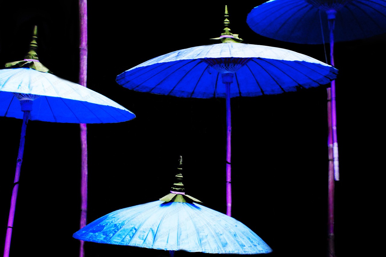 umbrellas parasol beach umbrella free photo