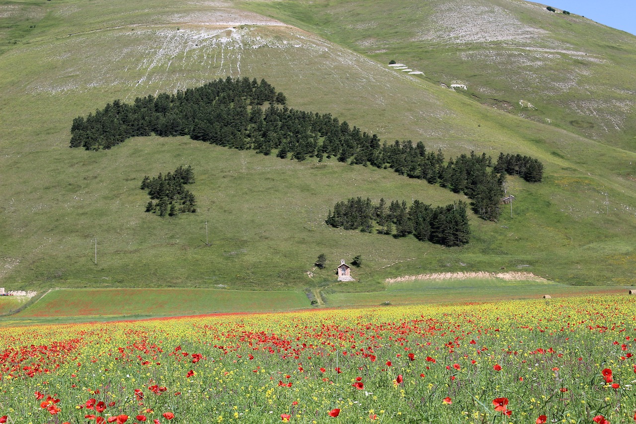 umbria  castelluccio  of free photo