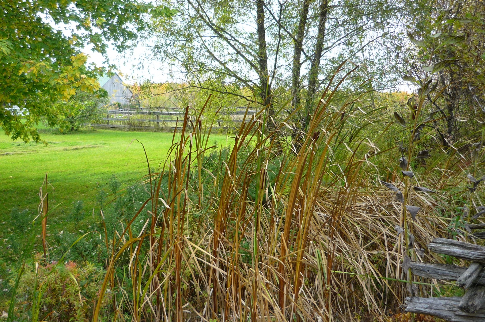 autumn landscape nature free photo