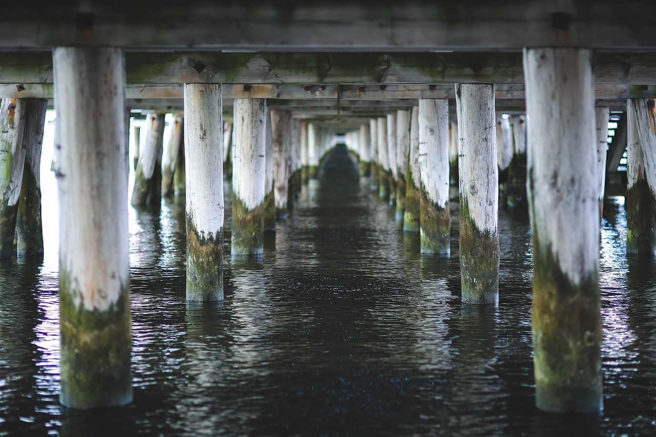 under pier molo free photo