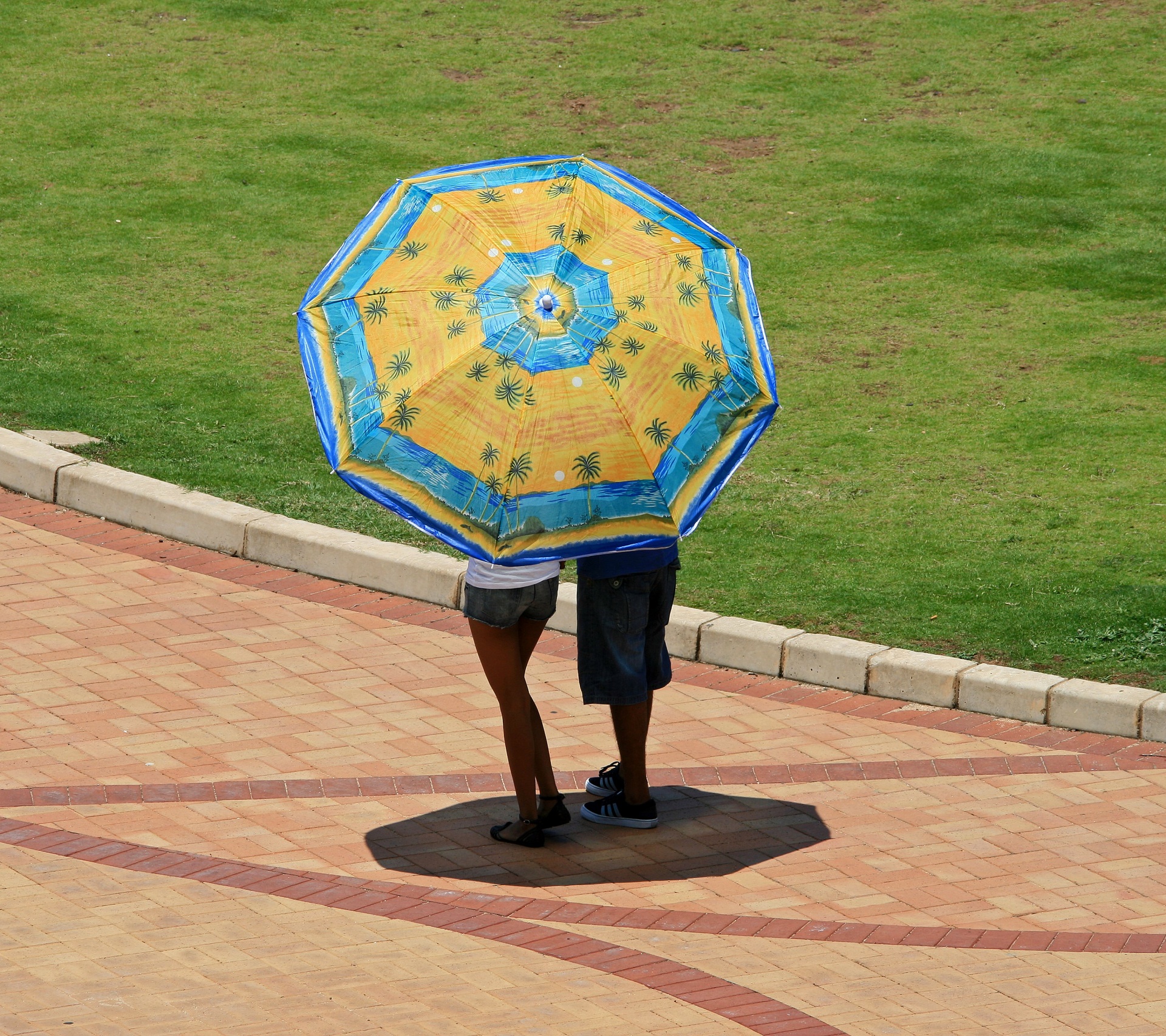 parasol protection cover free photo