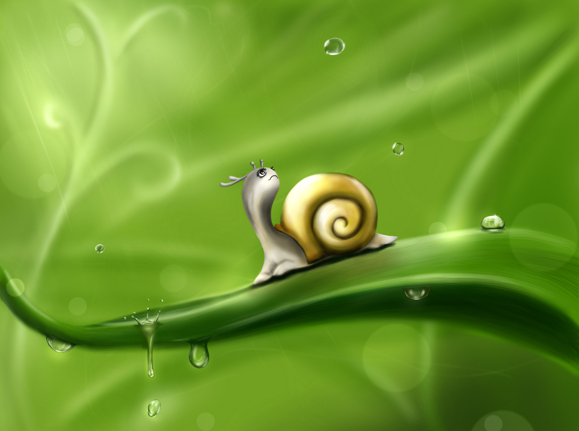 snail drops rain free photo