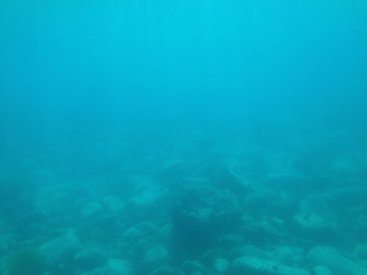 underwater ocean swim free photo