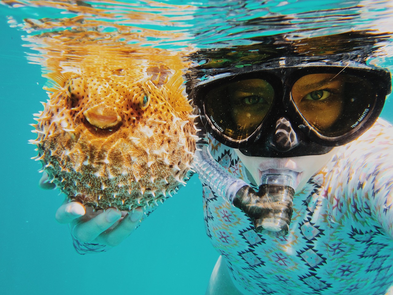 underwater people woman free photo