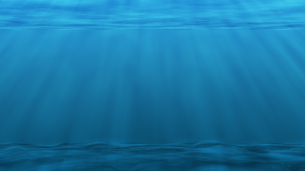 underwater sea ocean plankton free photo