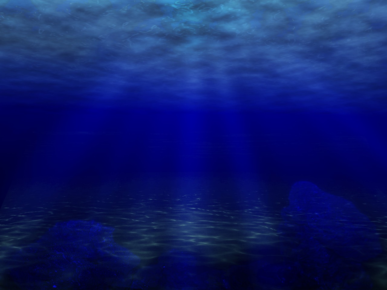 underwater sea ocean free photo
