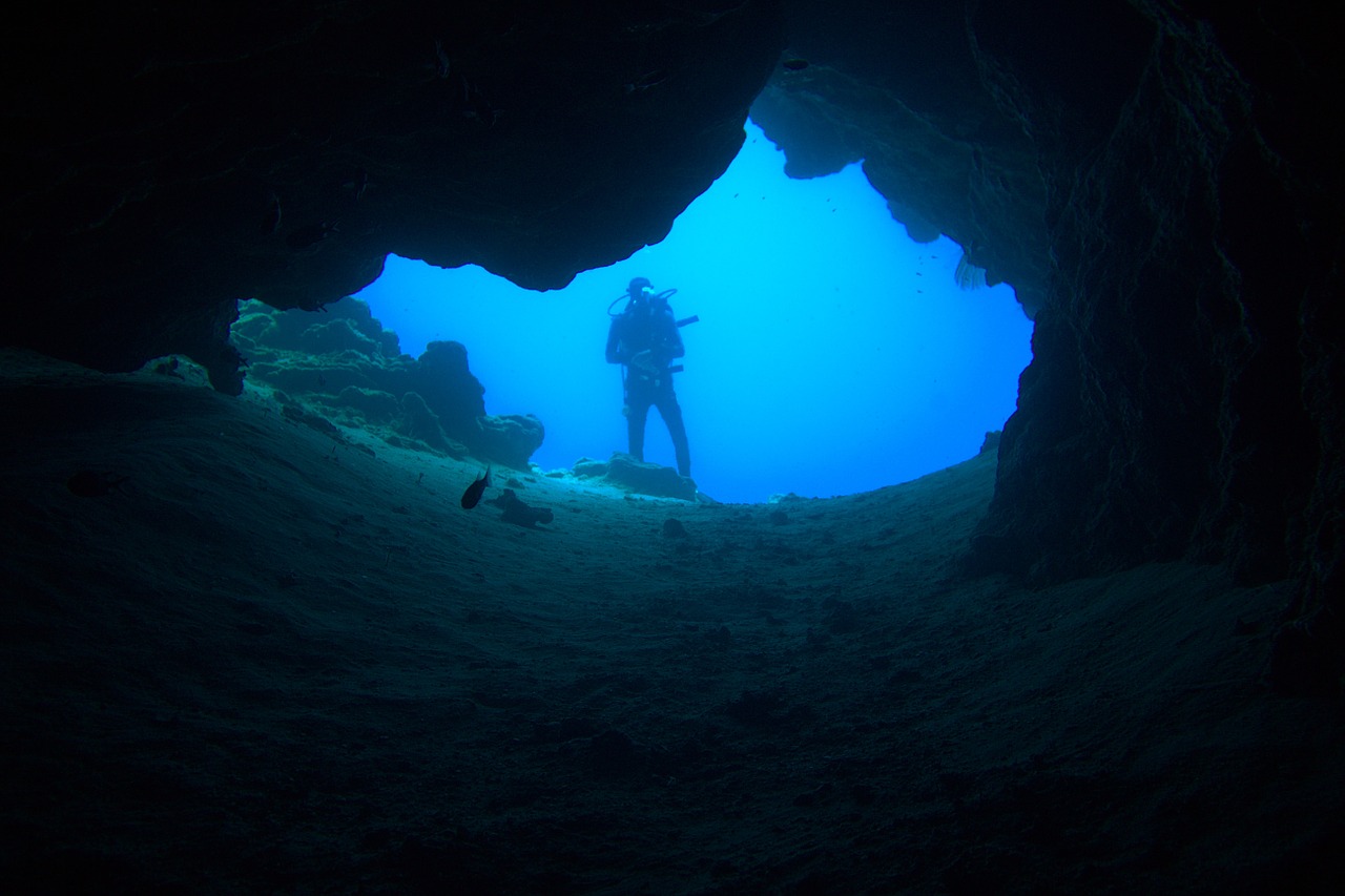 underwater diving underwater world free photo