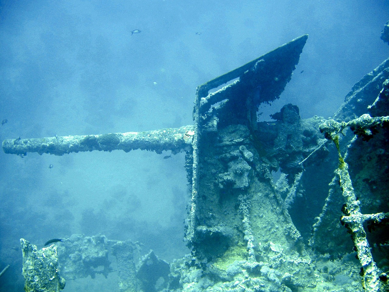 underwater diving thistlegorm free photo