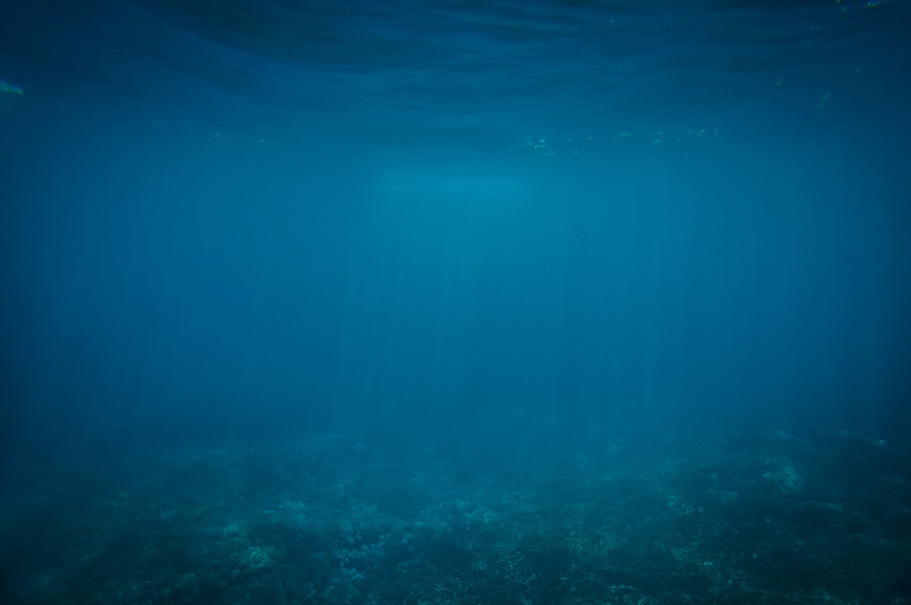 underwater blue ocean free photo