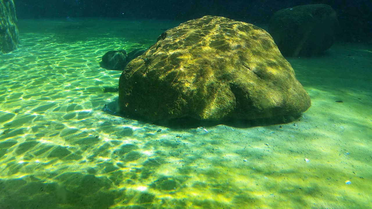 underwater water under free photo