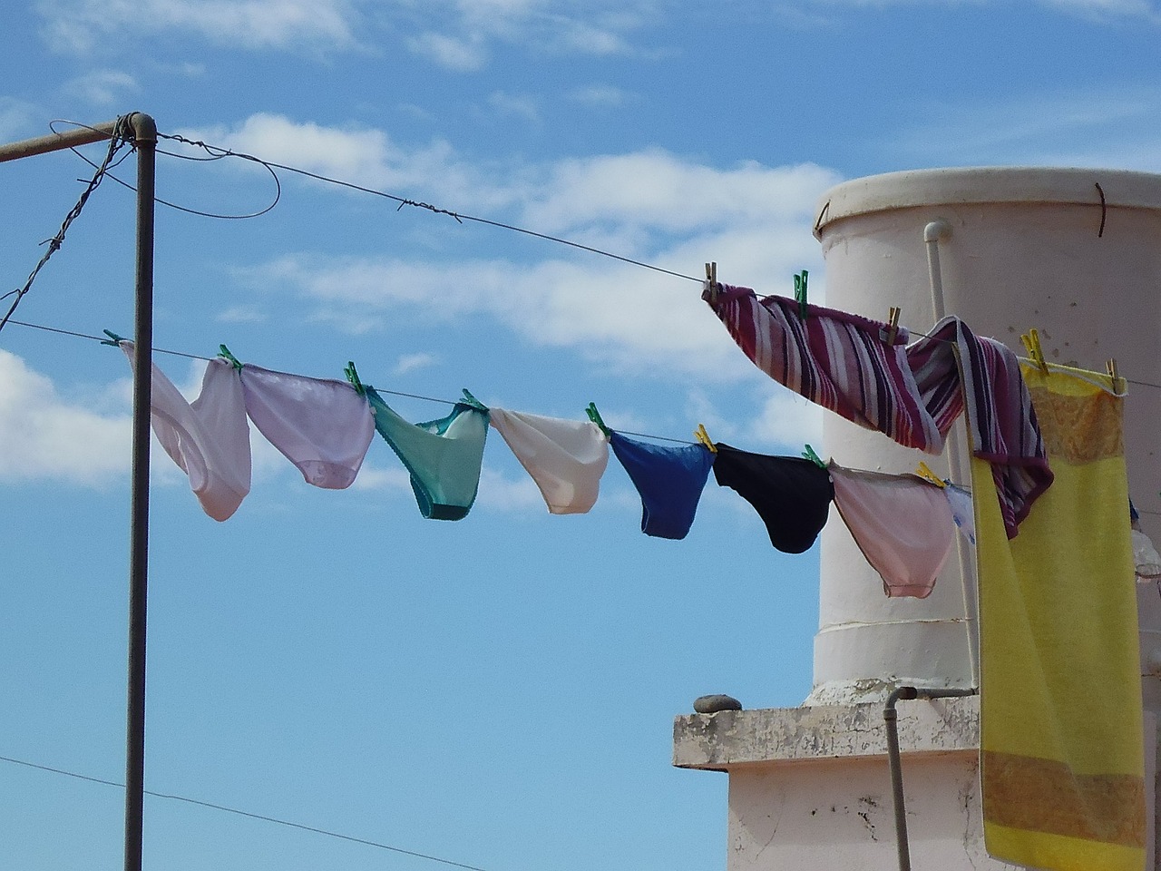 underwear clothes line laundry free photo