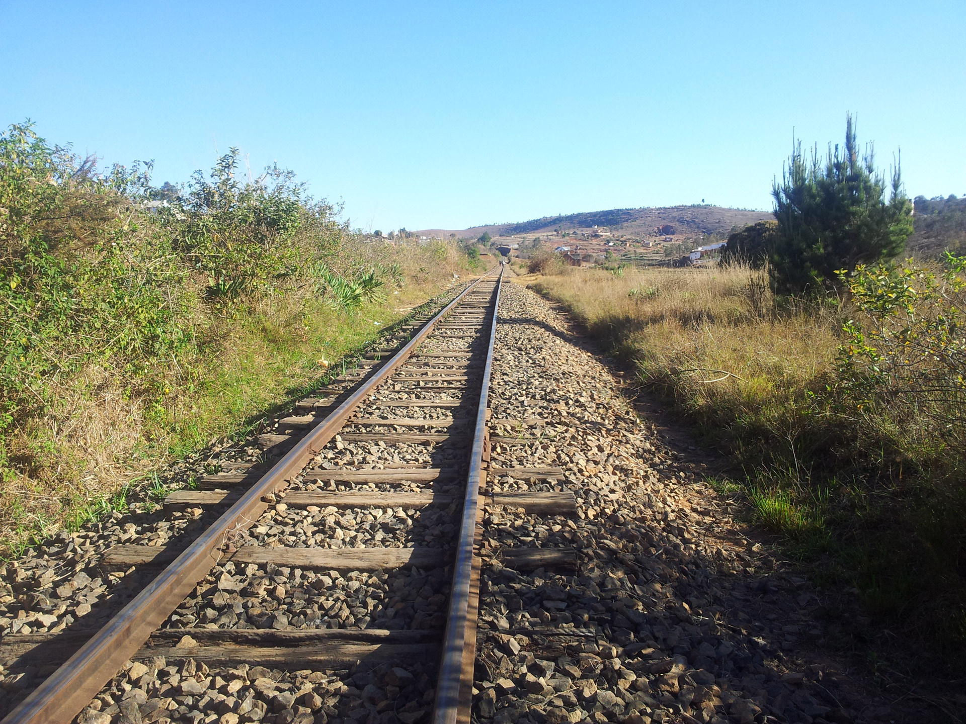 line railroad line railroad free photo