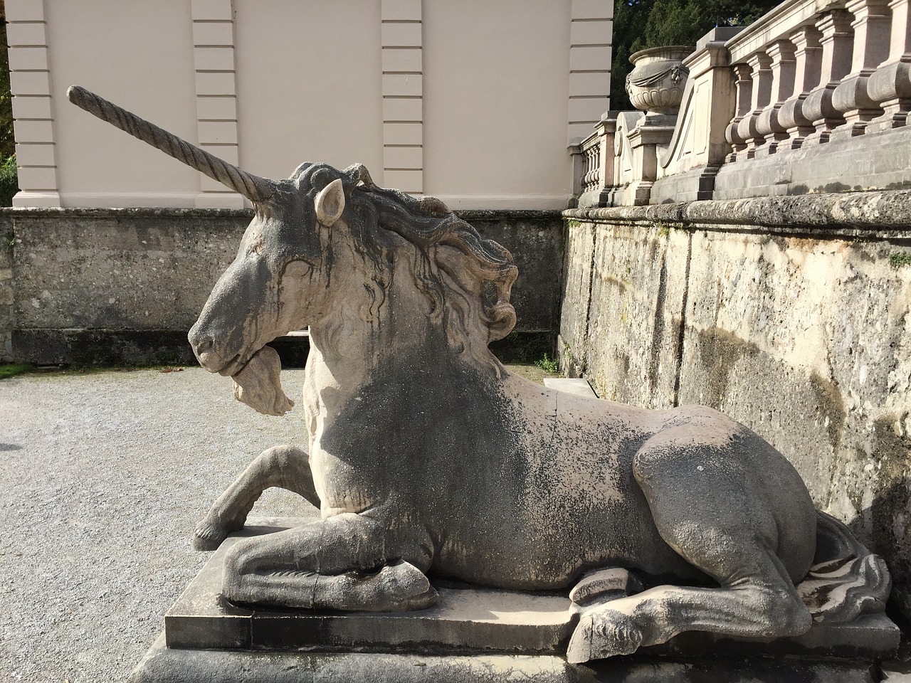 unicorn mythical creatures salzburg free photo