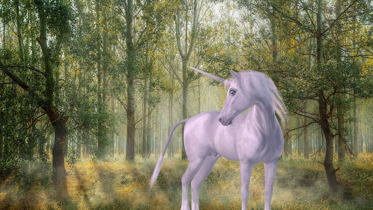 unicorn forest fairy tales free photo