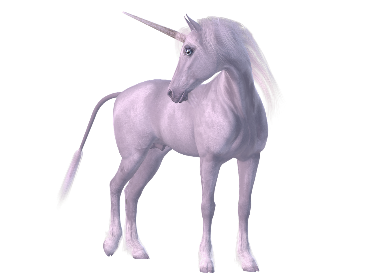 unicorn mythical creatures mane free photo