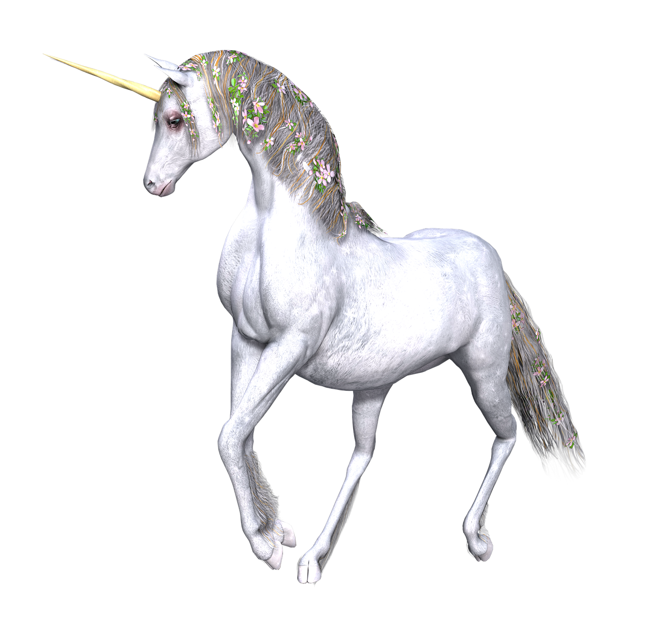unicorn fantasy fairy free photo