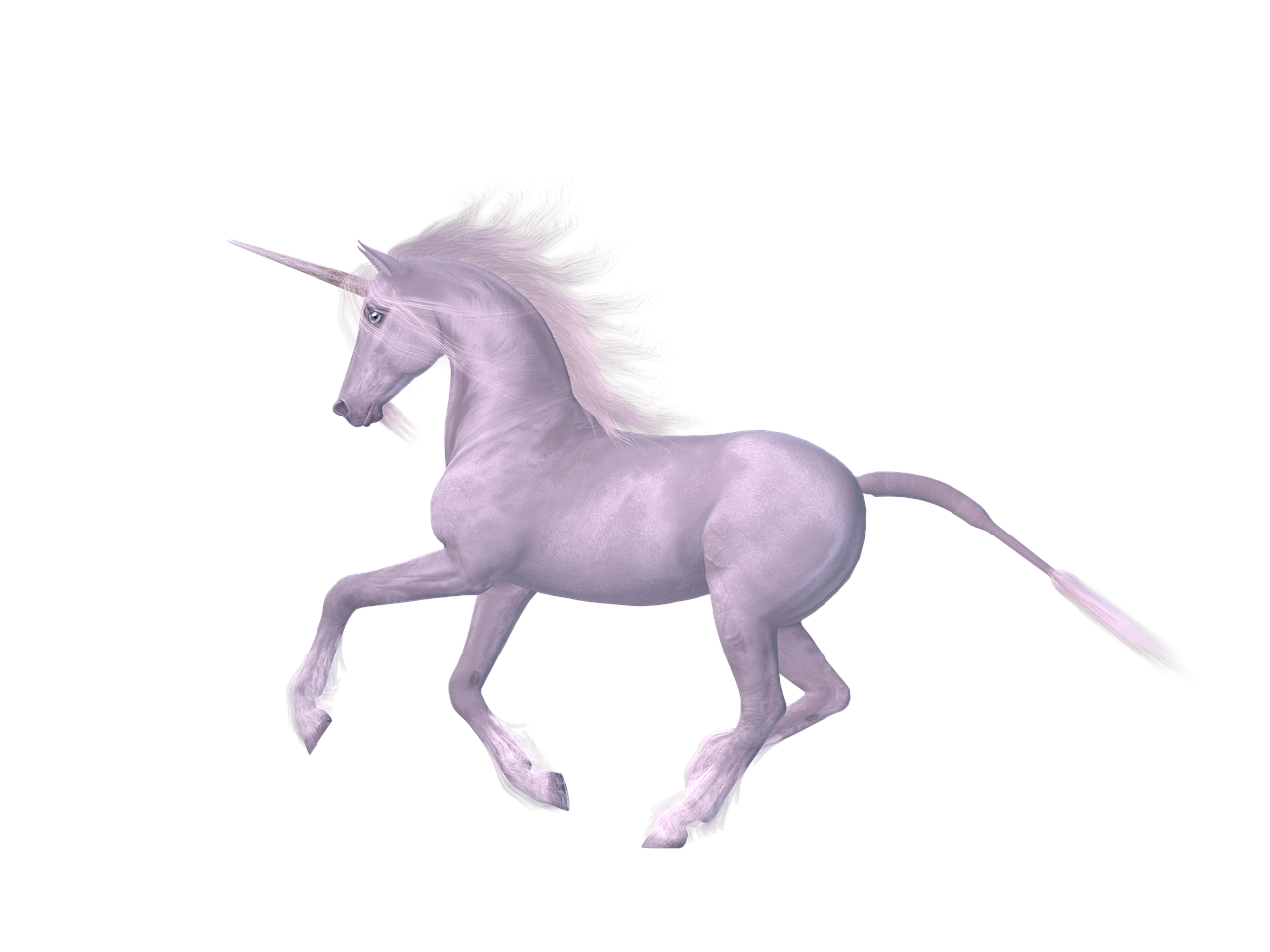unicorn horse fairy tales free photo