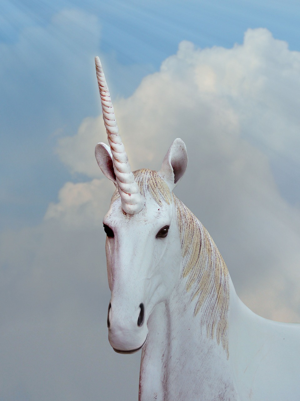unicorn fantasy animal fantasy free photo