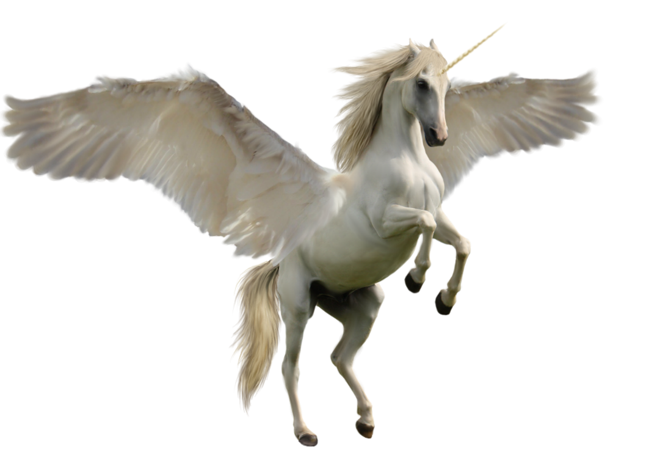 unicorn fantasy horse free photo