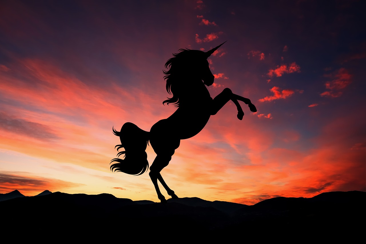 unicorn  sunset  fantasy free photo