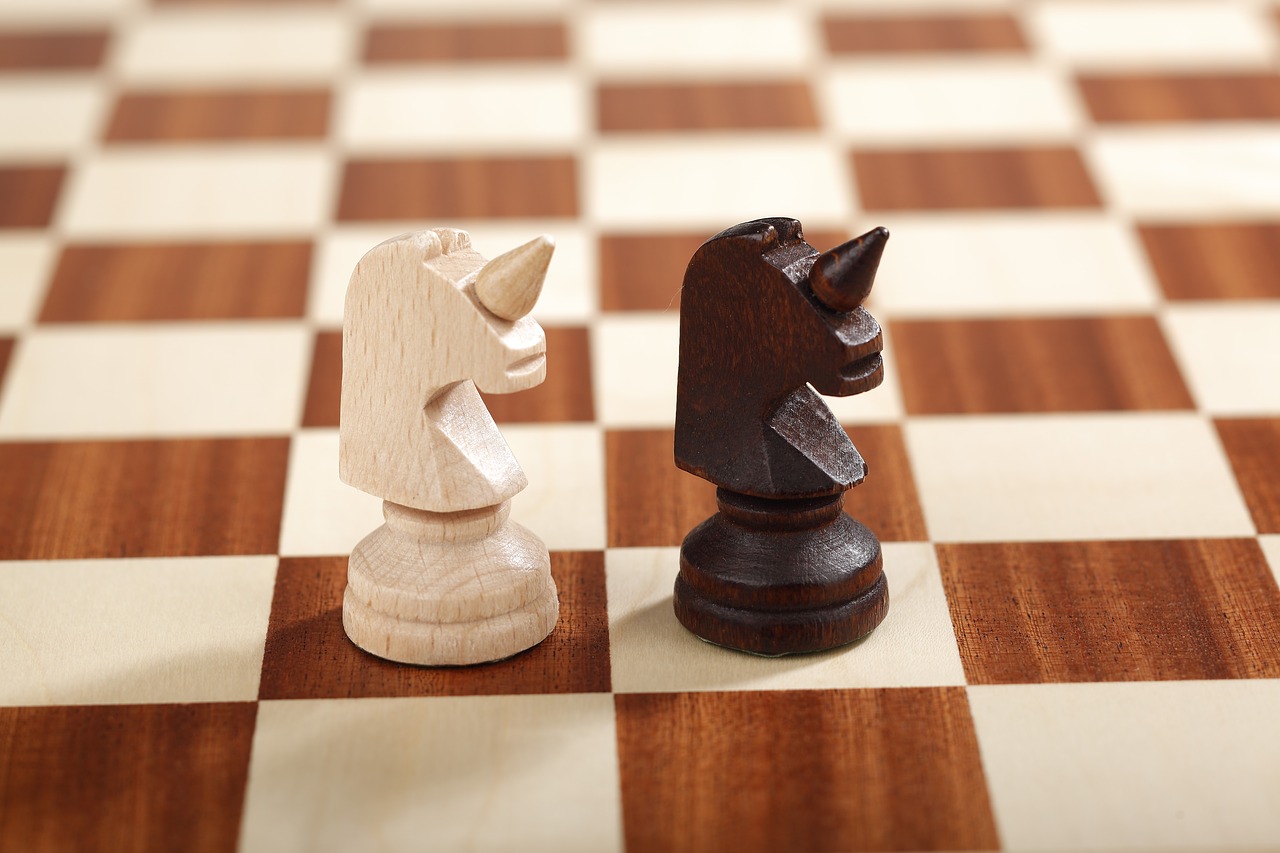 unicorn  chess  large chess 10x10 free photo