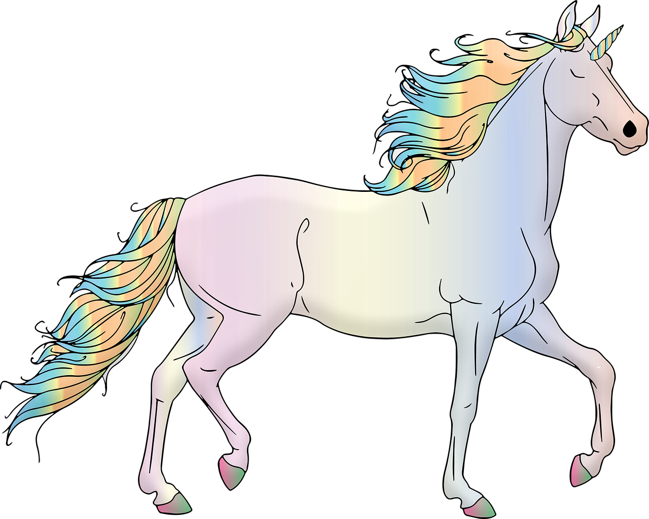 unicorn  rainbow  colorful free photo