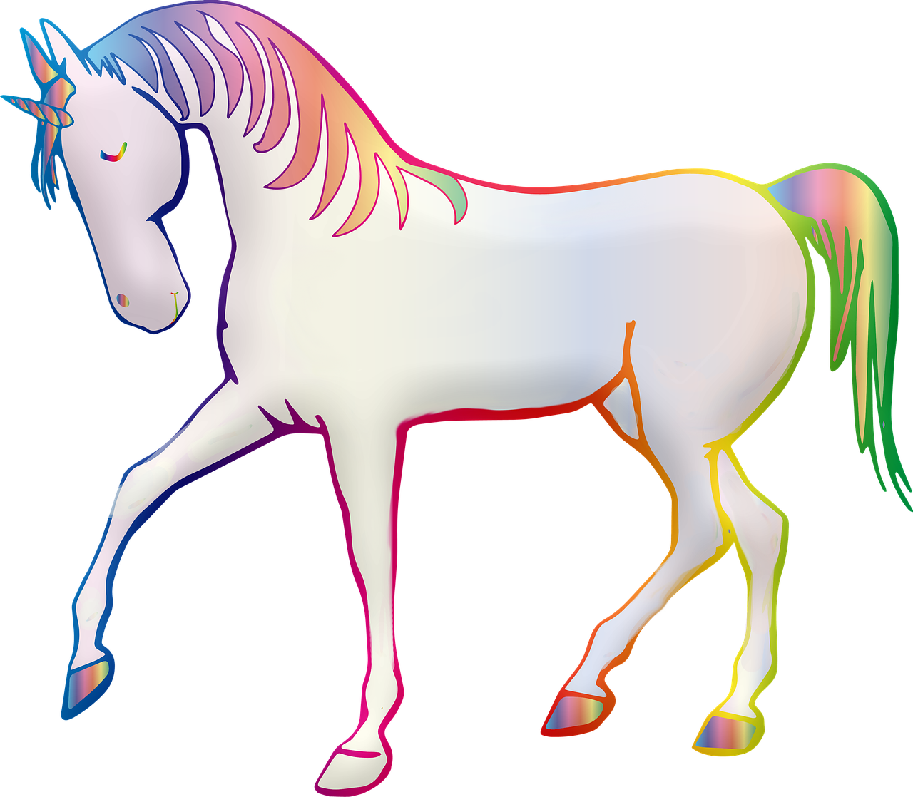 unicorn  rainbow  colorful free photo