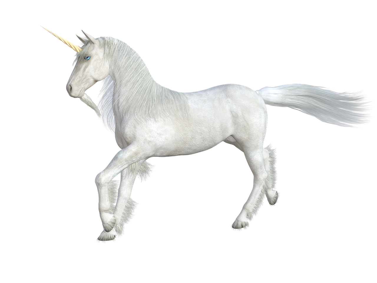 unicorn  horse  mythical creatures free photo