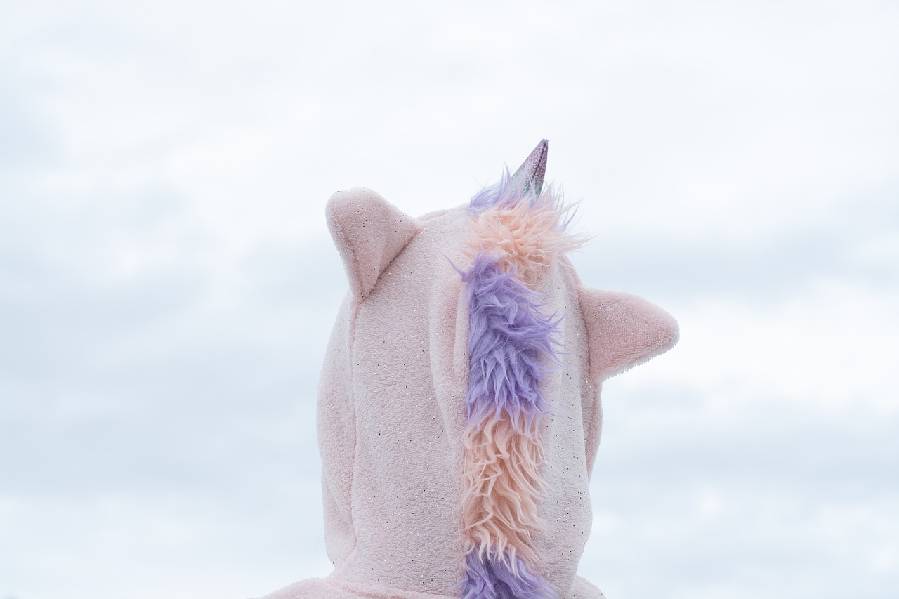 unicorn  costume  carnival free photo