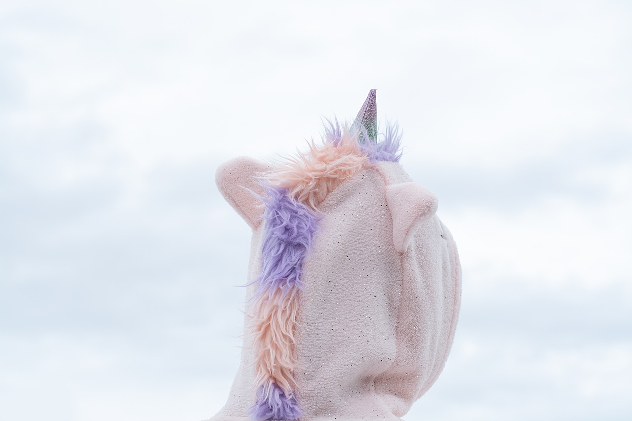 unicorn  costume  carnival free photo