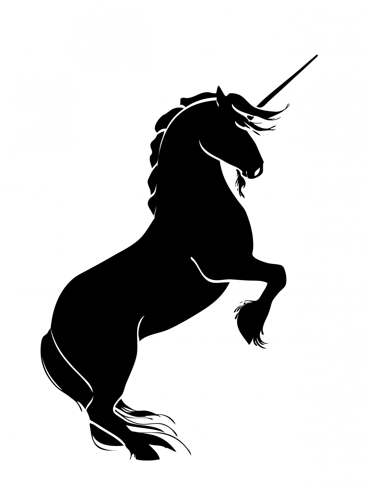 unicorn horse black free photo
