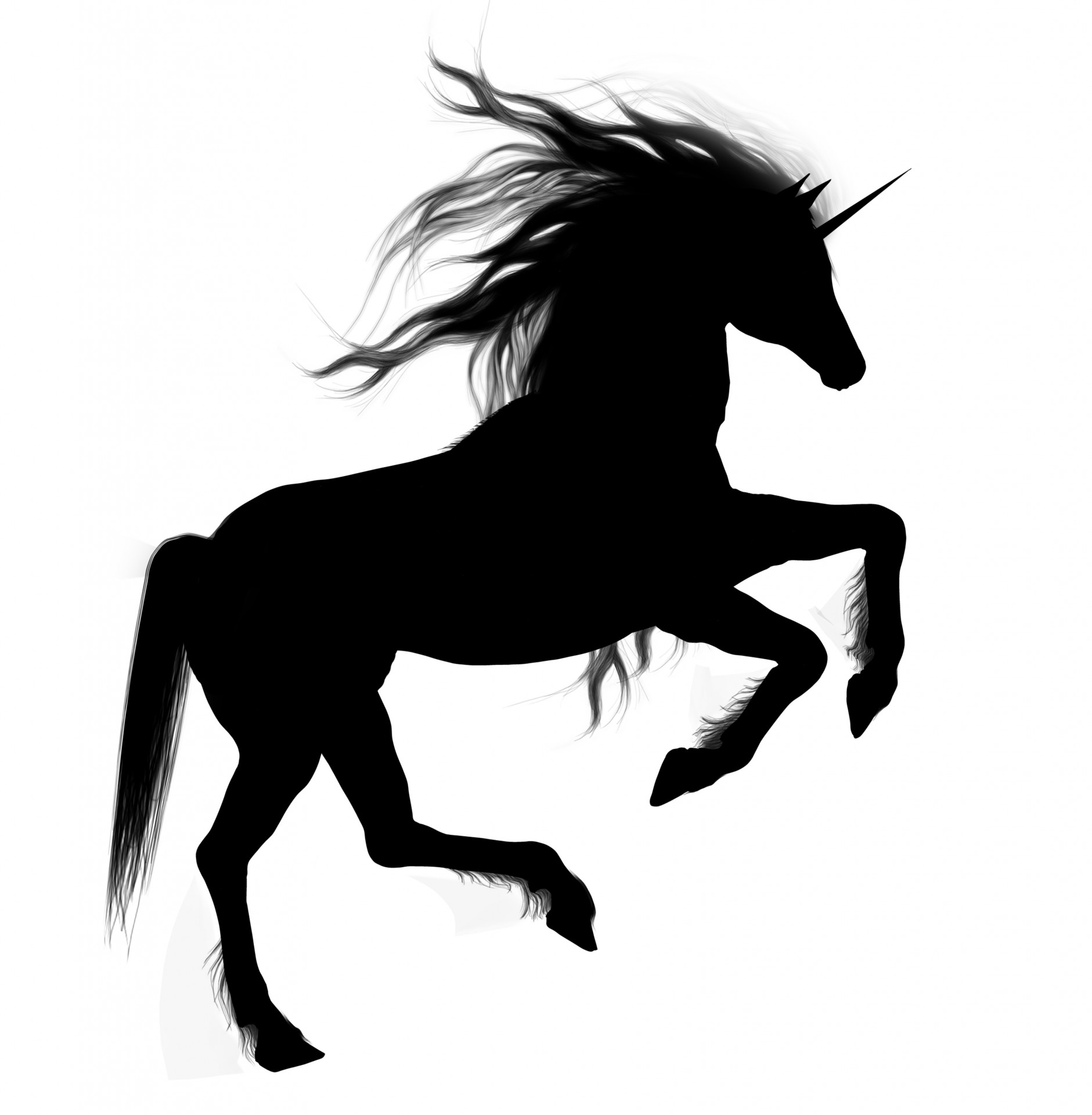 unicorn silhouette fantasy fantasy horse free photo