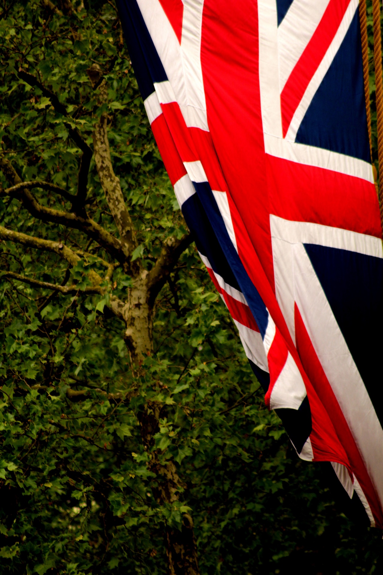 london union jack union flag free photo
