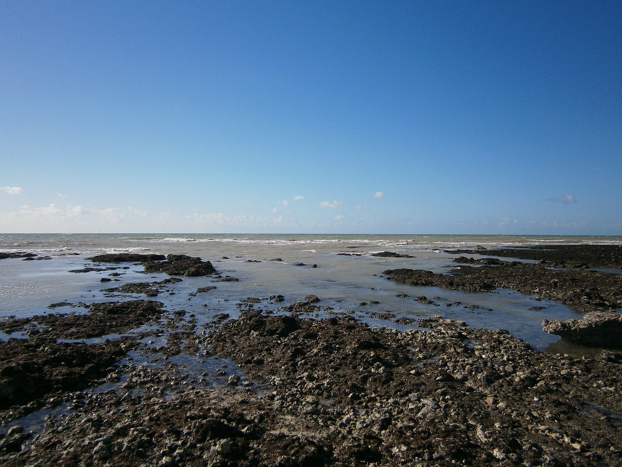 united kingdom england coast free photo