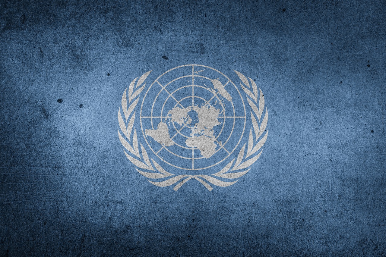 united nations world flag free photo