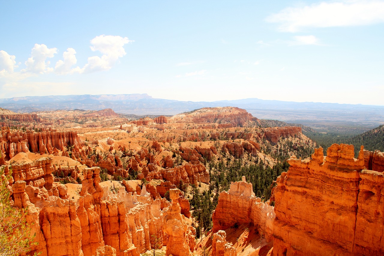 united states canyon nature free photo