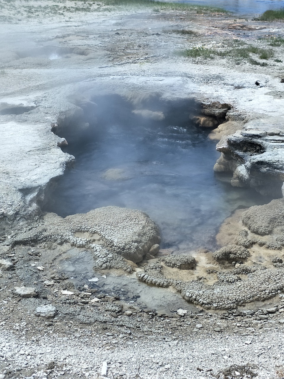 united states yellowstone national park tourism free photo