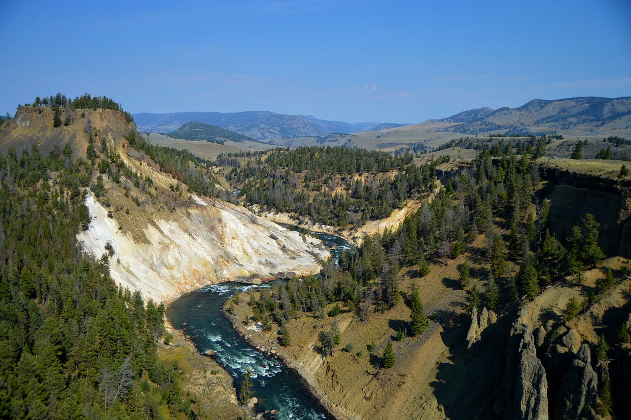 united states yellowstone national park free photo