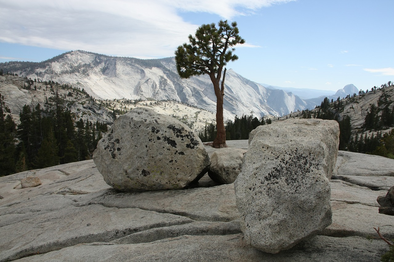 united states yosemite national park nature free photo