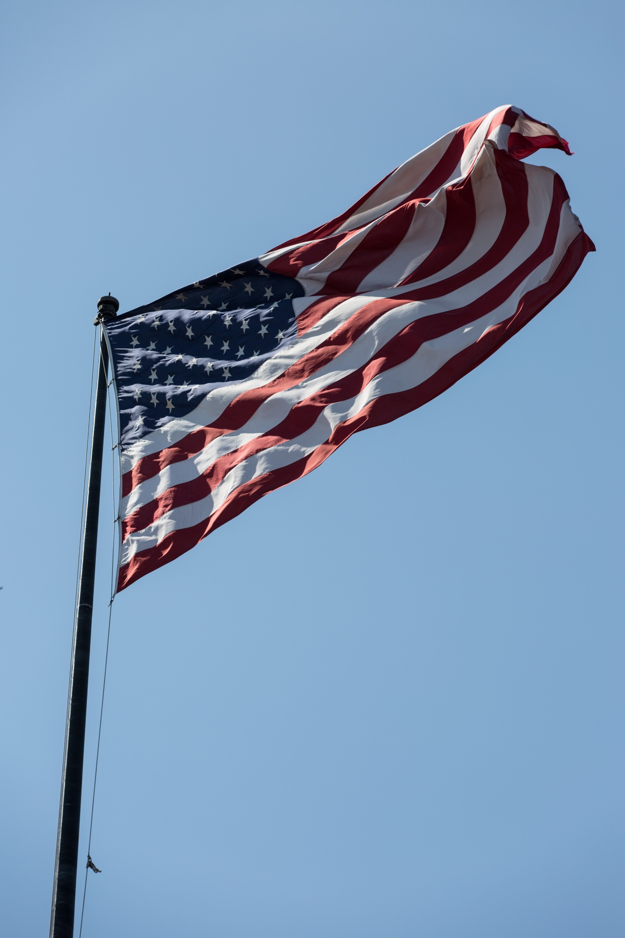 american flag blue bright free photo