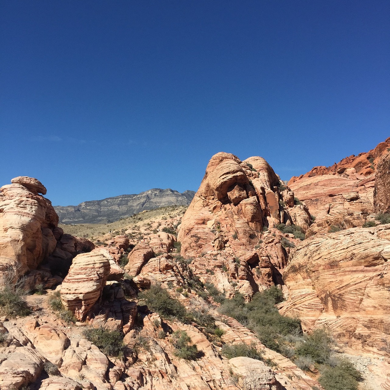 united states tourism red rock canyon park blue sky free photo