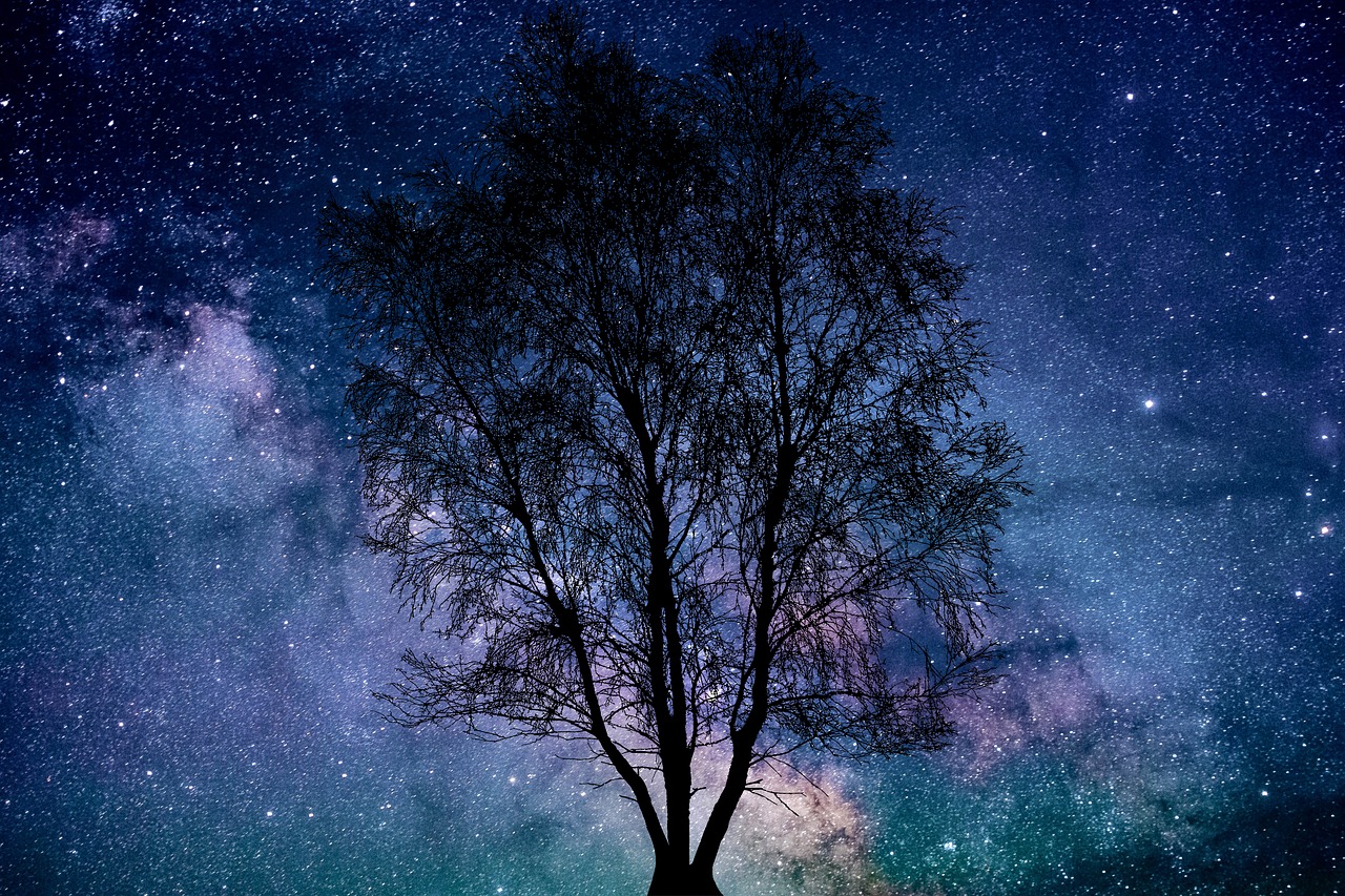 universe  tree  sky free photo